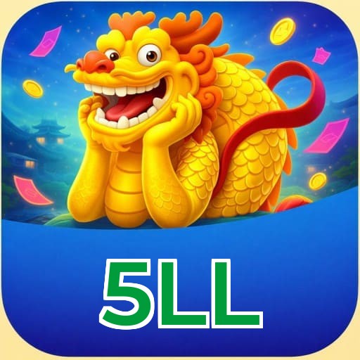 Termos e Condições Transparentes 5LL